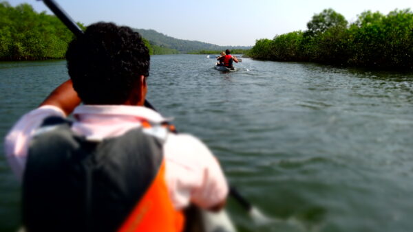 blog image 2