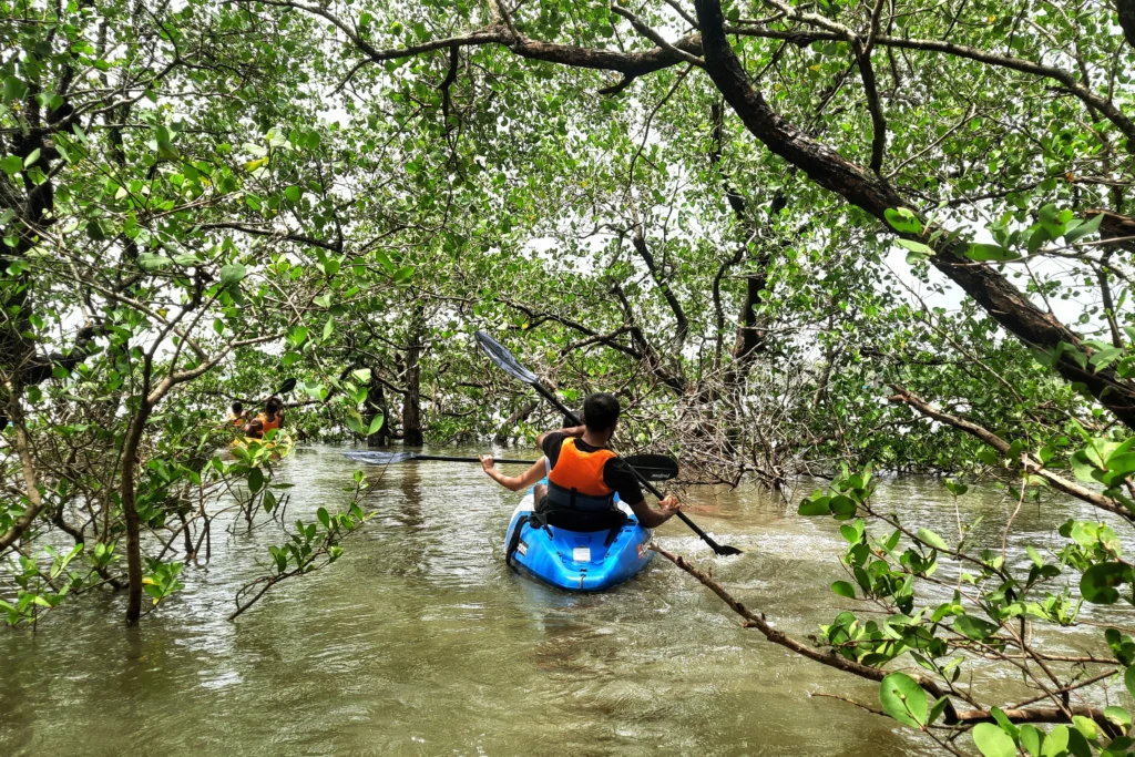 The 5 Best Kayaks/Stand up Paddling (SUP) in Goa to Explore the Hidden
